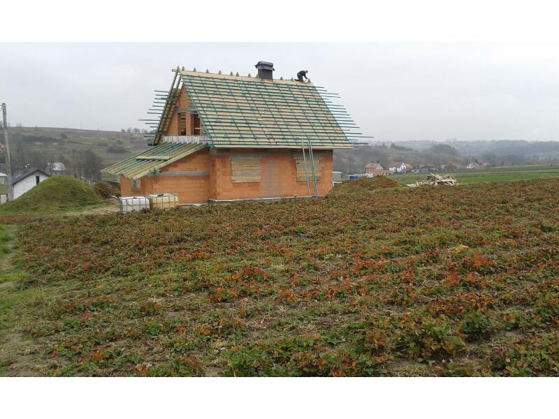 blog budowlany - mojabudowa.pl